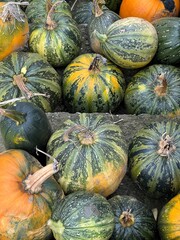 Polskie dynie 100 % eko polska wieś