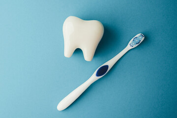 White tooth model and toothbrush on blue background. Dental care hygiene concept.