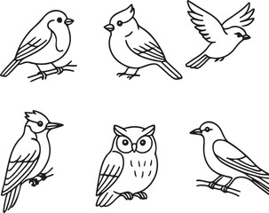 winter bird species black and white vector illustration eps