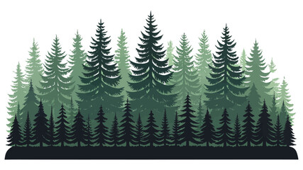 Obraz premium Dense Evergreen Conifer Forest Silhouette Illustration in Layered Green Tones 