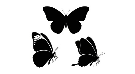 "Set of Butterfly Silhouettes on White Background