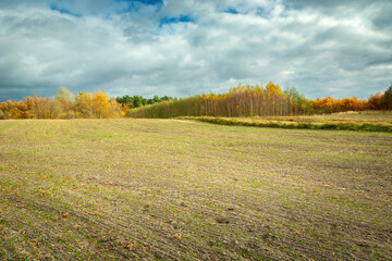 View of a farmland in front of an autumn forest