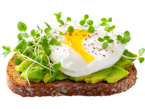 Avocado toast topped with sprouts and poached egg isolated on transparent background, representing healthy breakfast and wellness lifestyle.