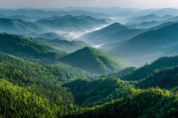 Misty hills covered in dense green forests create layered mountain scenery with soft sunlight and atmospheric fog spreading across the tranquil valley landscape