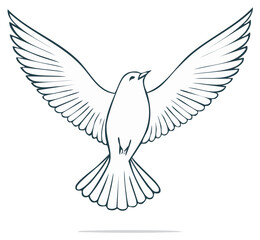 Obraz premium Outline Drawing of a White Dove with Wings Spread in Flight