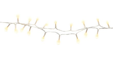 A string of warm white led christmas lights with a curved shape isolated on transparent background