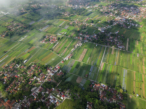 Aerial view of emerald rice paddies stretch out like a patchwork quilt, interspersed with terracotta-roofed houses, basking under a soft, diffused light, Klaten Regency, Central Java, Indonesia.