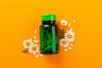 Fresh chamomiles with medicines on color background, top view