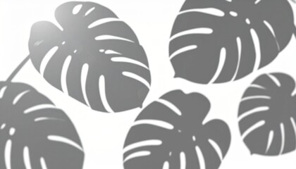 monstera shadow overlay effect,realistic sunmmer sunlight tropical leaves shadows