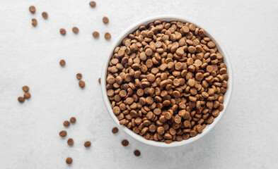 Dry dog food in bowl with scattered kibbles on white background