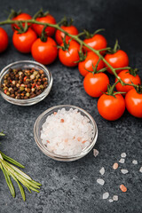 Pink himalayan salt with cherry tomatoes pepper and rosemary on dark background