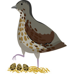 A Realistic Style Bird Standing Beside Its Nest With Three Eggs on a Transparent Background