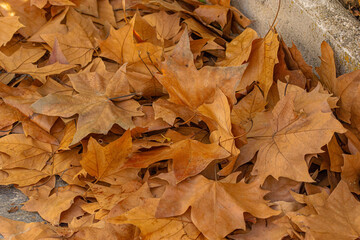 Otoño