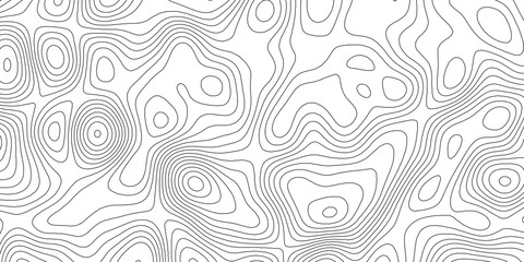 Fototapeta premium Topographic background and texture, monochrome image. Perfect for Minimalist and Contemporary Design Projects.