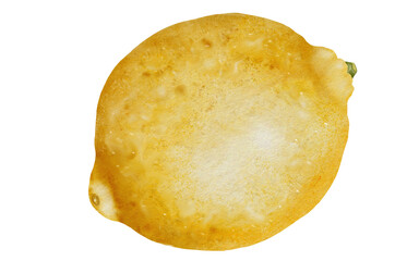 Lemon watercolor. Hand drawn tropical sour fruit. Clip art of juicy yellow lime. Citrus on isolated white background. Ideal for logo and packaging of natural cosmetics, household chemicals and design