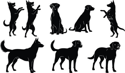 Cad drawing flat vector illustration, dog silhouette poses, standing sitting anatomical view, pet anatomy concept, black and white design