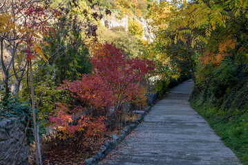 Autumn foliage in the National Botanical Garden in Tbilisi, Georgia