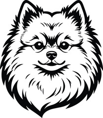 Black and white Pomeranian dog face vector illustration, fluffy fur, bold line artwork, pet logo design, tattoo style drawing, graphic art