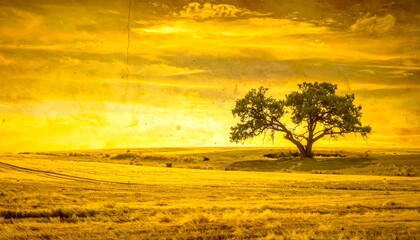 Golden field with a lone tree at sunset.