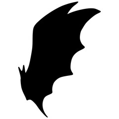  Vector bat illustration 