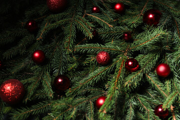 Beautiful spruce tree branches with Christmas ornaments as background, closeup