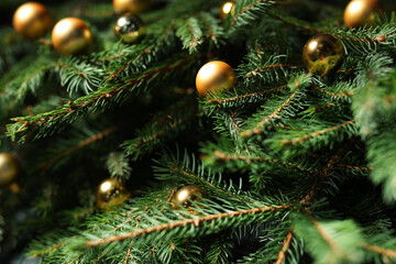 Beautiful spruce tree branches with Christmas ornaments as background, closeup