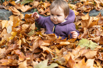 Baby spielt vergn&uuml;gt im Herbstlaub