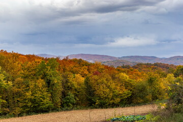 Naklejka premium Colorful autumn mountain scenery with forests and fields in bright fall tones
