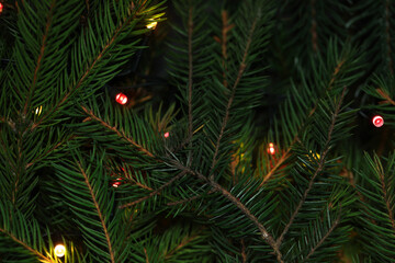 Spruce tree with Christmas lights as background, top view