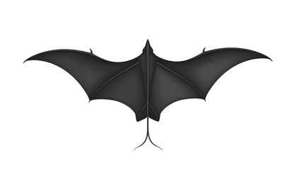 Top-down view of a black bat illustration with textured wings and a pointed head on a white background