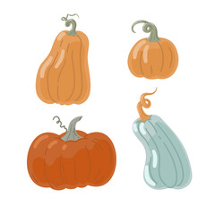 Autumn pumpkins vector illustration. Pumkin vector clipart set