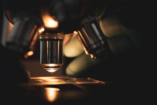 High-quality close-up image of a laboratory microscope being adjusted by a scientist in gloves. Represents science precision, healthcare innovation, and biotechnology research.