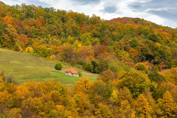 Obraz premium Vibrant autumn mountain landscape with colorful forests and fields