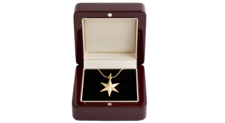 Gold star pendant necklace displayed in an elegant jewelry box