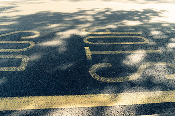 アスファルトのペイント、bus stop　落ちる木漏れ日