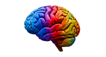 Colorful human brain with vibrant rainbow gradient and textured gyri, cutout, PNG isolated on white or transparent background