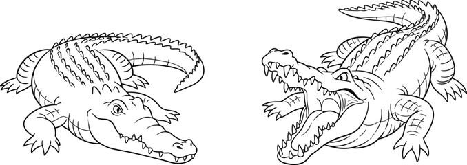 crocodile alligator vector, reptile line drawing, wildlife sketch illustration, flat animal design, aggressive pose art, cad drawing flat vector illustration