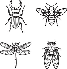 Detailed Insects Black and White Vector Illustration.eps