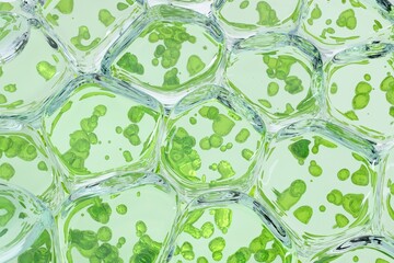 Biotechnology Background