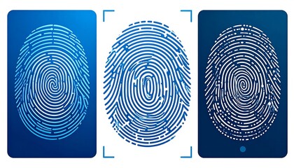 Three stylized fingerprint illustrations in shades of blue, depicting digital biometric data, and a security concept