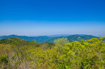 Naklejka premium カラ迫岳の山頂