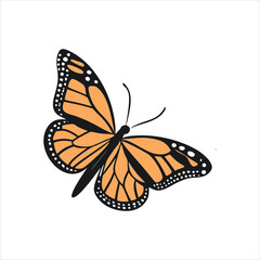 Beautiful Monarch Butterfly Vector Illustration on White Background