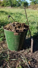 Photo of Farm Compost. Green Farming. Green Bucket with Compost. Eco Organic farming. 
