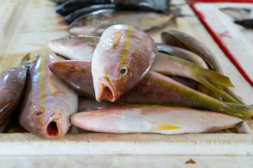 Fresh Fish Display at Market
