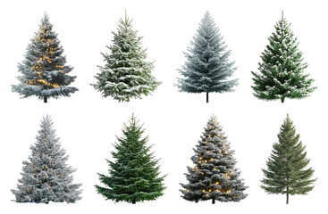 Fototapeta premium PNG Festive snowy Christmas trees, element set on transparent background