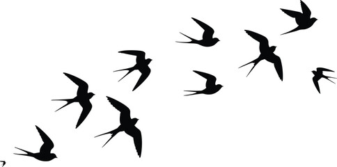Flying bird silhouettes in dynamic motion, flock formation, freedom concept vector illustration for nature, wildlife, migration, travel, lifestyle, design inspiration content