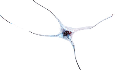 Title: Ultra Detailed 3D Render of Glowing Neural Network Nodes on White Background