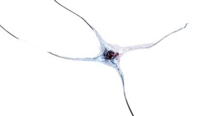 Title: Ultra Detailed 3D Render of Glowing Neural Network Nodes on White Background