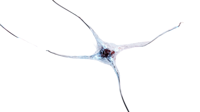 Title: Ultra Detailed 3D Render of Glowing Neural Network Nodes on White Background