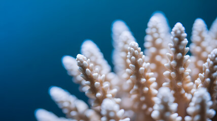 Close-up of Finger Coral with a Soft Blue Background, Underwater Marine Life, Coral Reef Ecosystem, Abstract Natural Texture